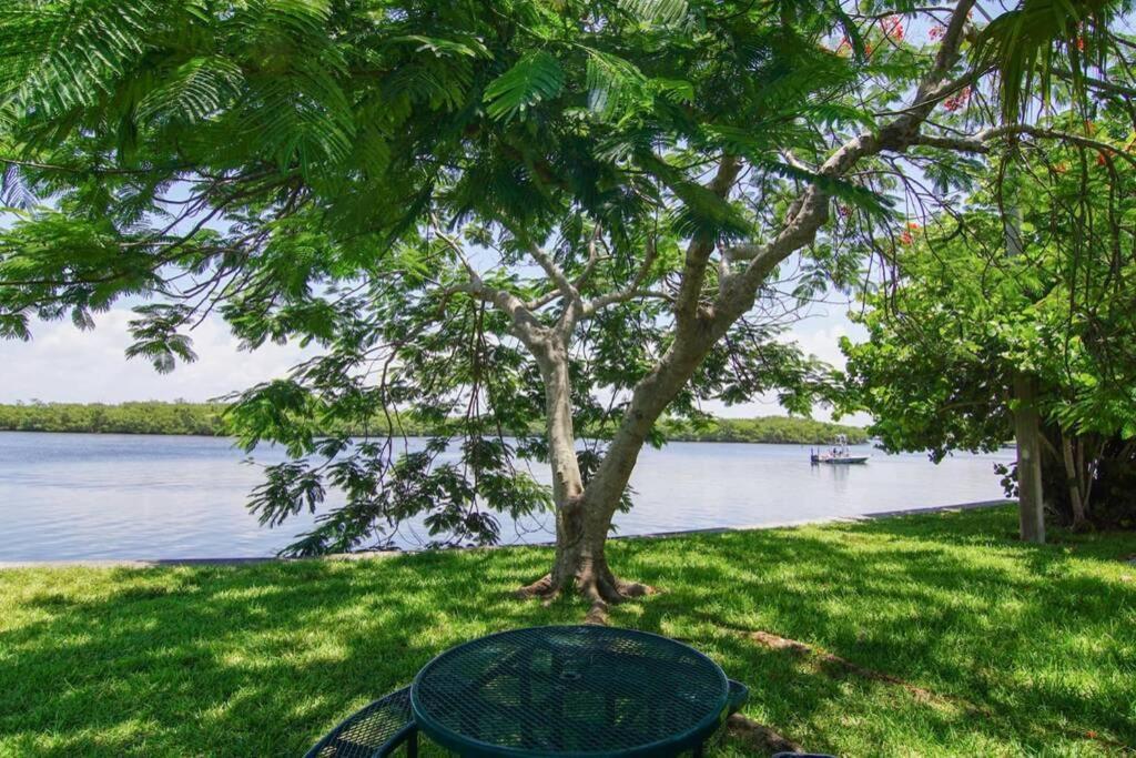 Riverview, Studio 507, Beach Steps Away!+Pool+Wifi Ruskin Zewnętrze zdjęcie